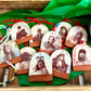 10 Ornament Collection [PREORDER]