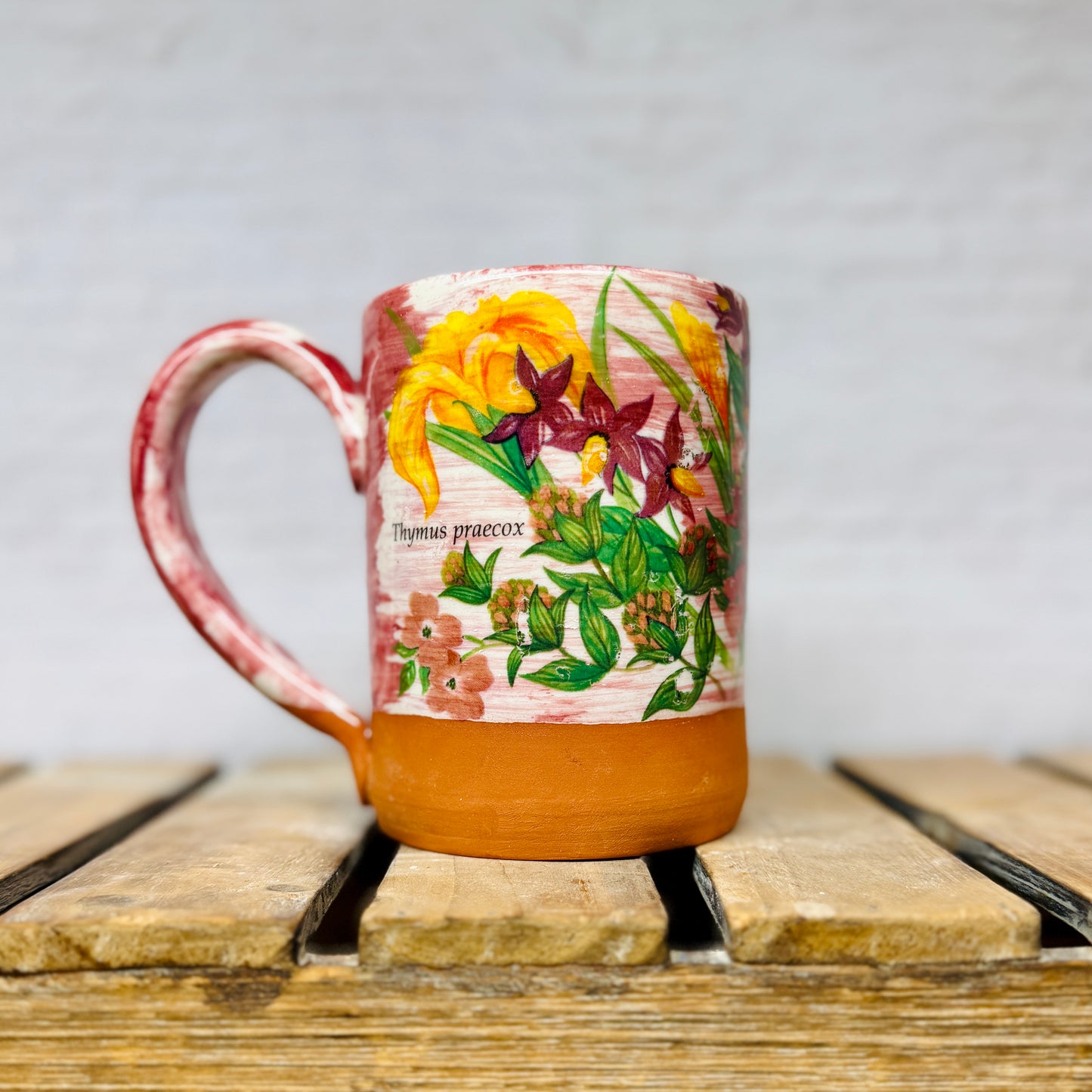 Scientific Flower Mugs - Assorted