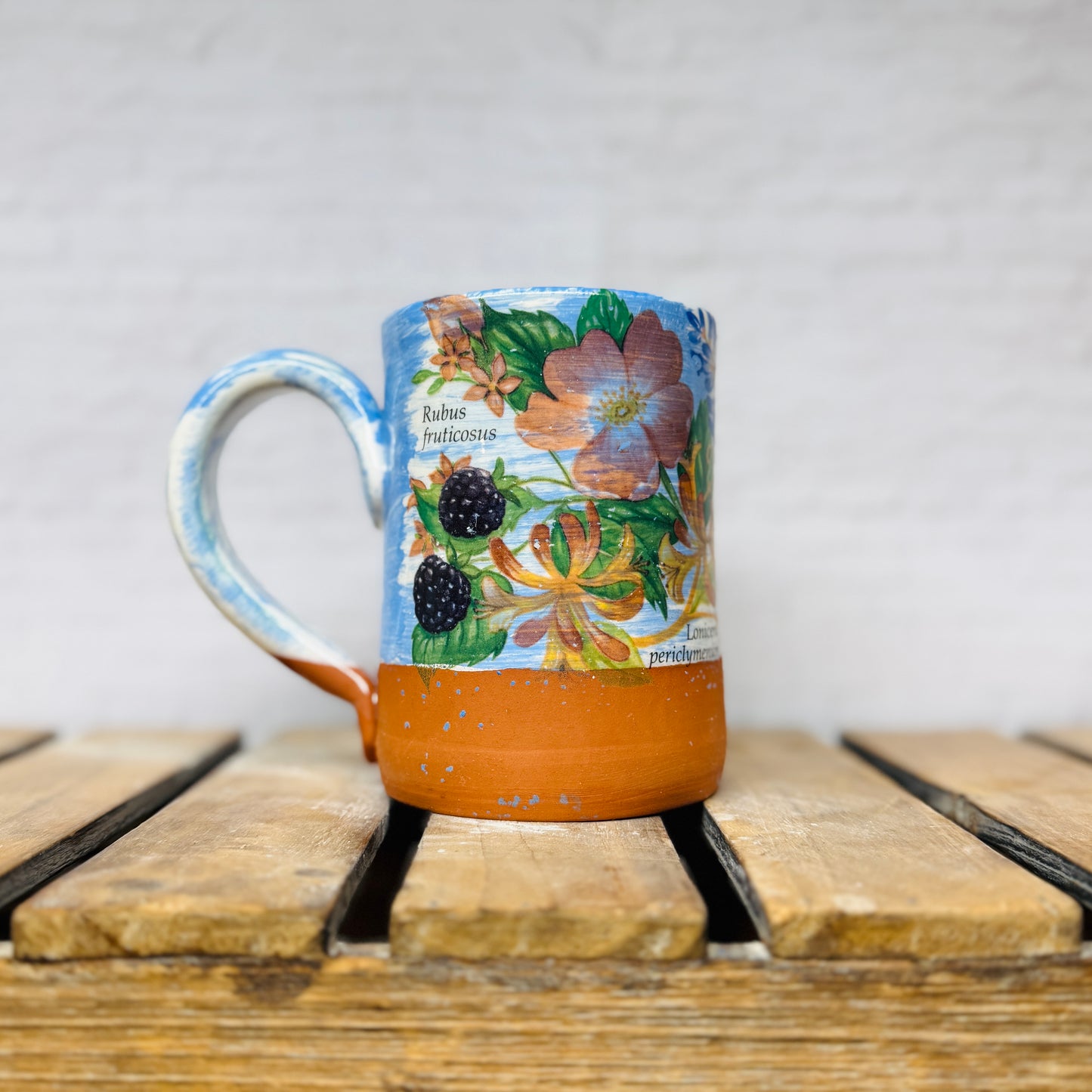Scientific Flower Mugs - Assorted